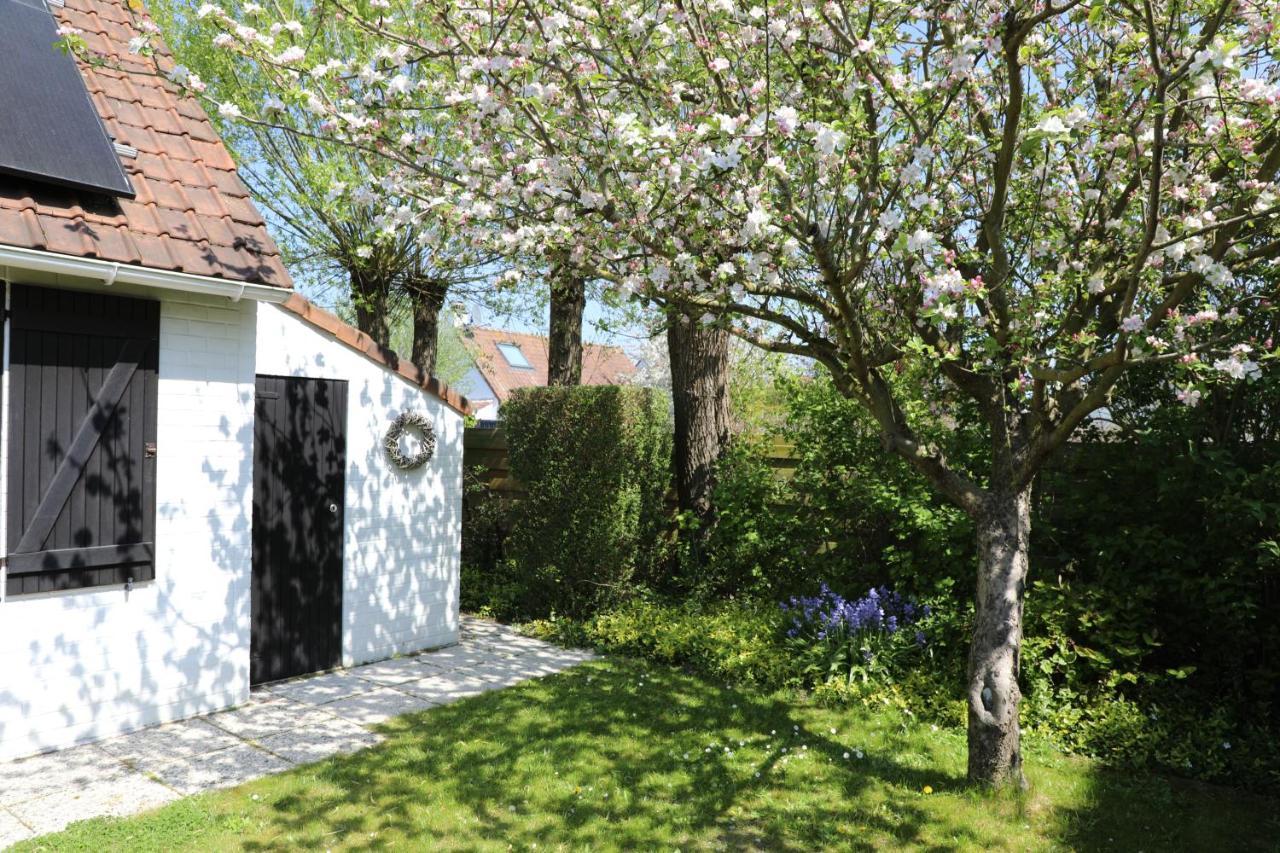 Bergh&duin Vakantiehuis *